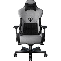 Геймерське крісло Anda Seat T-Pro 2 XL Gray/Black (AD12XLLA-01-GB-F) - придбати в Дніпрі, Україні: ціна, характеристики | інтернет-магазин TOUCH