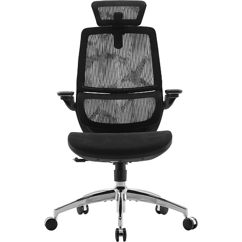 Офісне крісло Sihoo M59AS Mesh Black (M59AS-M302) - придбати в Дніпрі, Україні: ціна, характеристики | інтернет-магазин TOUCH