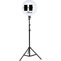 Кольцевая LED лампа AC Prof RL-14 36см
