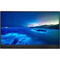 Портативный монитор ZSUS 15YZ Black 