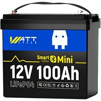 Аккумулятор WattCycle LiFePO4 12V(12.8/100Ah/1280Wh) (WT12V100AH100MINIBT)