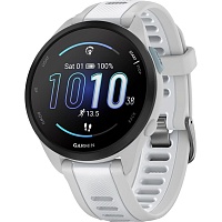 Смарт-часы Garmin Forerunner 165 Mist Gray/Whitestone (010-02863-21)