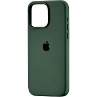 Чехол Silicone Case для Apple iPhone 16 Pro Max Cyprus Green AA