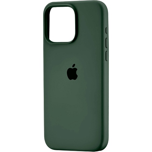 Чехол Silicone Case для Apple iPhone 16 Pro Max Cyprus Green AA