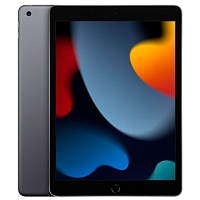 Планшет Apple iPad 10.2" (9 Gen) 64GB Wi-Fi Space Gray 2021 (MK2K3)