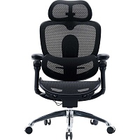 Офісне крісло Sihoo C300 Pro V2 Black (C300-PRO-V2-B101) - придбати в Дніпрі, Україні: ціна, характеристики | інтернет-магазин TOUCH