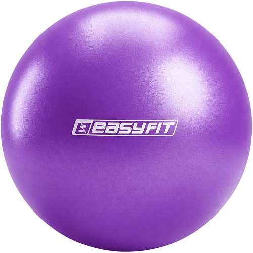 Мяч для пилатеса EasyFit 25cm Violet (EF-1221)