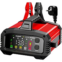 Зарядное устройство Foxsur FPT-250 Red