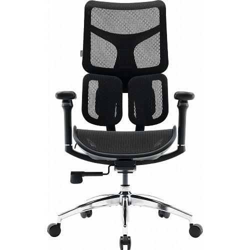 Офисное кресло Sihoo DORO S100 Mesh Black (S100-M301)