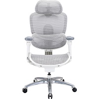 Офісне крісло Sihoo DORO C300 LITE V2 White (C300-LITE-V2-B102) - придбати в Дніпрі, Україні: ціна, характеристики | інтернет-магазин TOUCH