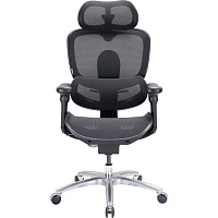 Офісне крісло Sihoo DORO C300 LITE V2 Black (C300-LITE-V2-B101) - придбати в Дніпрі, Україні: ціна, характеристики | інтернет-магазин TOUCH