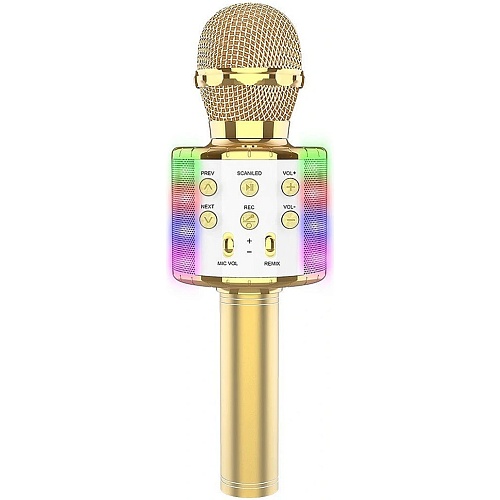 Микрофон с караоке Epik WS858L Gold