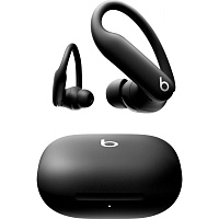 Наушники Beats by Dr. Dre Powerbeats Pro 2 Jet Black (MX723) 