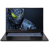 Ноутбук Dream Machines RG5050-17 (RG5050-17UA35)