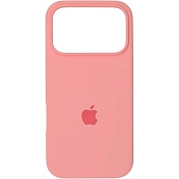 Чехол Silicone Case для Apple iPhone 17 Pro Max Light Pink AA