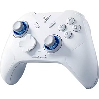 Геймпад FLYDIGI Direwolf 4 White