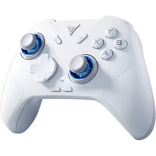 Геймпад FLYDIGI Direwolf 4 White - придбати в Дніпрі, Україні: ціна, характеристики | інтернет-магазин TOUCH