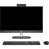 Моноблок HP ProOne 245 G10 Iron Gray (A54ZTET)