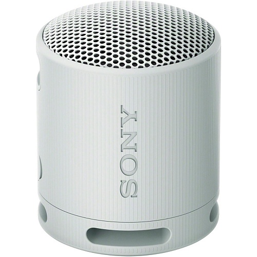 Портативная акустика Sony SRS-XB100 Grey (SRSXB100H.CE7)
