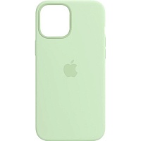 Чехол Silicone Case для Apple iPhone 16 Pro Pistachio АА