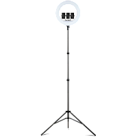 Кольцевая LED лампа со штативом AC Prof LED RL-21 54см