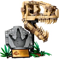 Конструктор LEGO Jurassic World Окаменелости динозавров: Череп тиранозавра (76964) 