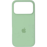 Чохол Silicone Case для Apple iPhone 17 Pro Mint  AA - придбати в Дніпрі, Україні: ціна, характеристики | інтернет-магазин TOUCH