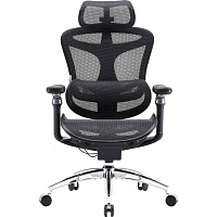 Офисное кресло Sihoo DORO C300 Pro Mesh Black (DORO-C300-PRO-M101)