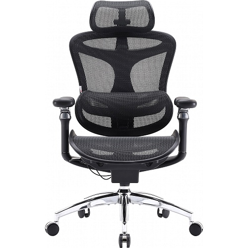 Офисное кресло Sihoo DORO C300 Pro Mesh Black (DORO-C300-PRO-M101)