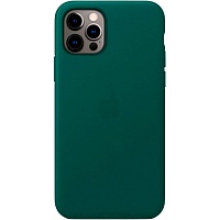 Чехол Silicone Case для Apple iPhone 12 Pro Max (Forest Green) АА