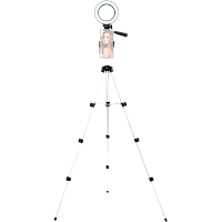 Кільцева LED лампа зі штативом Puluz 1920 - придбати в Дніпрі, Україні: ціна, характеристики | інтернет-магазин TOUCH