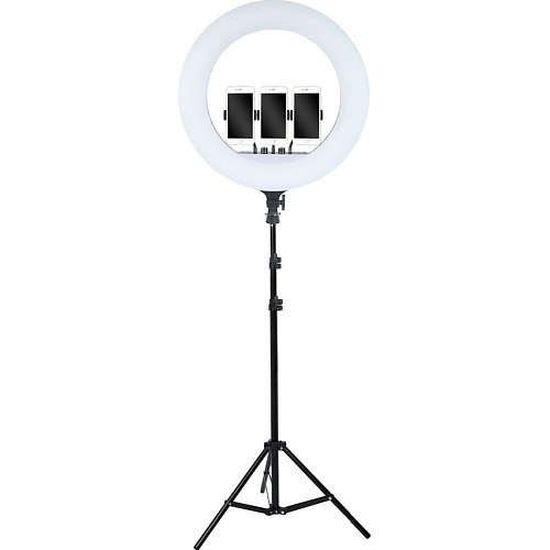 Кольцевая LED лампа со штативом AC Prof LED RL-21 54см