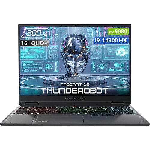Ноутбук Thunderobot Radiant 16 (1NLYA000055) CUSTOM
