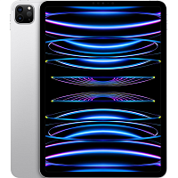 Планшет Apple iPad Pro 11 (2022) Wi-Fi + Cellular 512GB Silver (MP5D3)