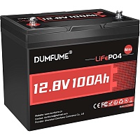 Аккумулятор Dumfume LiFePO4 12V (12.8V/100Ah/1280Wh) (Dumfume-12,8V/100Ah-MINI)