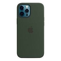 Чехол Silicone Case для Apple iPhone 12 Pro Max (Cyprus Green) АА