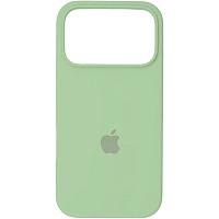 Чехол Silicone Case для Apple iPhone 17 Pro Max Avocado Green AA