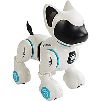 Робот-собака на радіокеруванні DK Tech Dog 8006-1 - придбати в Дніпрі, Україні: ціна, характеристики | інтернет-магазин TOUCH