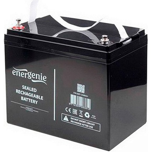 Аккумулятор EnerGenie AGM 12V (12V/80Ah/960Wh) (BAT-12V80AH)