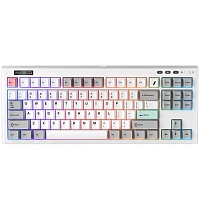 Клавиатура 1stPlayer NEO87 Wireless Frostwave (NEO87-FW-TLD)