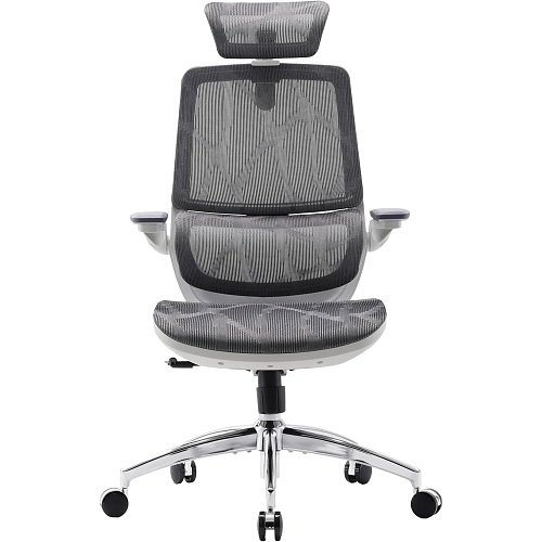 Офисное кресло Sihoo M59AS Mesh Gray (M59AS-M301)