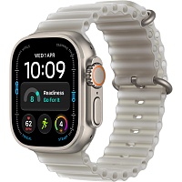 Смарт-часы Apple Watch Ultra 4 49mm Natural Titanium Case with Translucent Grey Ocean Band (MJAD4)