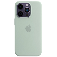 Чохол Silicone Case with MagSafe для Apple iPhone 14 Pro Succulent AAA