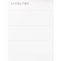 Аккумулятор Livoltek LiFePO4 307.2V (307.2V/50Ah/15360Wh) (BHF-S15.3) 