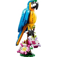 Конструктор LEGO Creator Экзотический попугай (31136)
