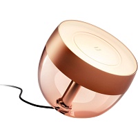 Ночник Philips Hue Iris Bronze (929002376801)