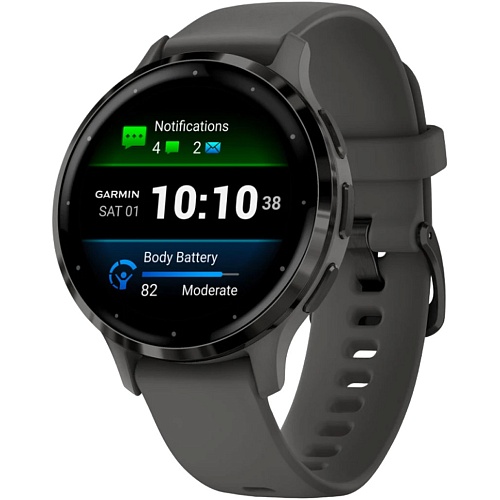 Смарт-часы Garmin Venu 3S Slate Stainless Steel Bezel with Pebble Gray Case and Silicone Band (010-02785-00/50)