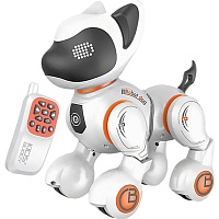Робот-собака на радіокеруванні DK Tech Dog Orange 8006-1 - придбати в Дніпрі, Україні: ціна, характеристики | інтернет-магазин TOUCH