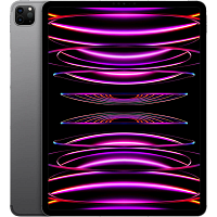 Планшет Apple iPad Pro 12.9 (2022) Wi-Fi + Cellular 2TB Space Gray (MP263)