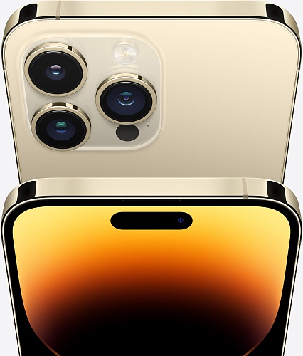 Смартфон Apple iPhone 14 Pro Max 256GB Gold (MQ9W3) - купить в